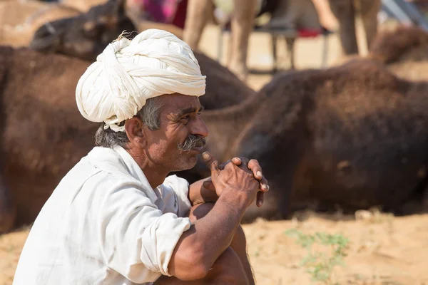 Indiase man en kameel in Pushkar, India — Stockfoto