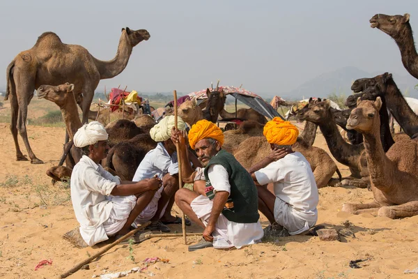 Indischer mann und kamel in pushkar, indien — Stockfoto