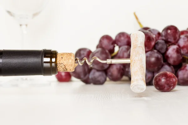Old corkscrew in bottle of wine and grapes — Stock Photo, Image