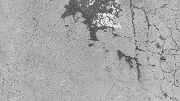 Estacionamiento para discapacitados con un símbolo desgastado en el viejo asfalto sucio. Vídeo en blanco y negro — Vídeo de stock