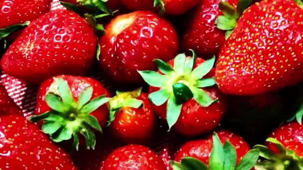 Organic strawberries are scattered on the table. Close-up videography — Stock Video