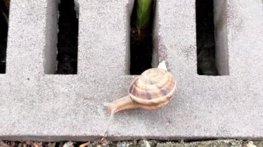 Elle çekilen kamera beton olukta sürünen birini yakalar.