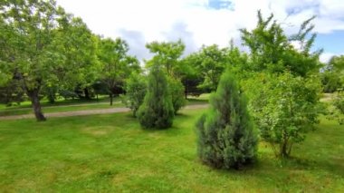 Şehirdeki büyük yeşil park.