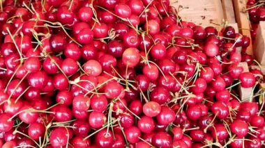 At an agricultural fair, cherries in wooden boxes