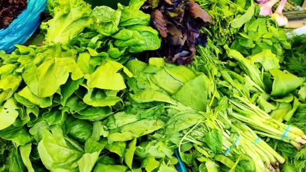 In the agricultural market, fresh herbs on the counter — Vídeo de Stock