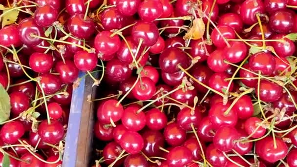 Cherries in boxes on the market top view — Vídeos de Stock