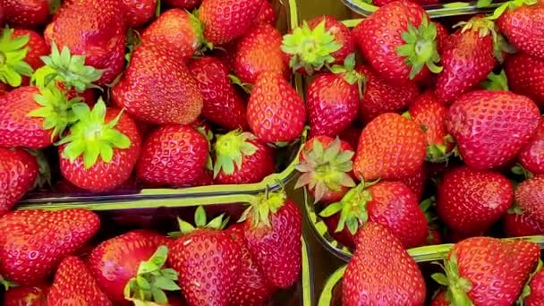 Strawberries in cardboard boxes on the market top view — 图库视频影像