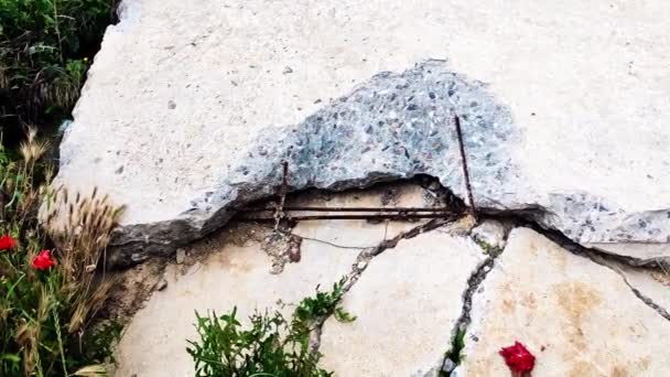 Ερείπια ενός κτιρίου, υπολείμματα οπλισμένου σκυροδέματος και παπαρούνες μεγαλώνουν μέσα από τα συντρίμμια — Αρχείο Βίντεο