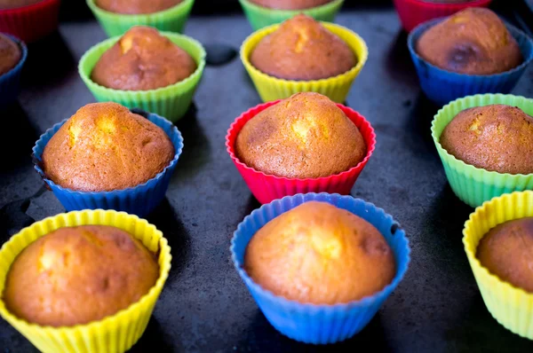 Homemade cupcakes — Stock Photo, Image