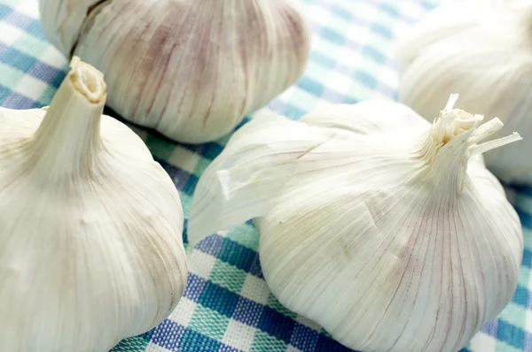 Heads of garlic — Stock Photo, Image