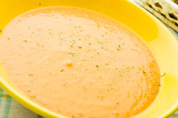 番茄汤，西班牙凉菜汤 — 图库照片
