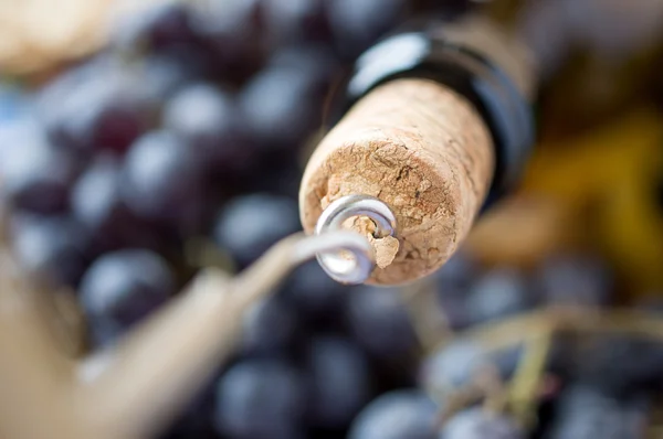 Corkscrew in the cork and the bottle — Stock Photo, Image