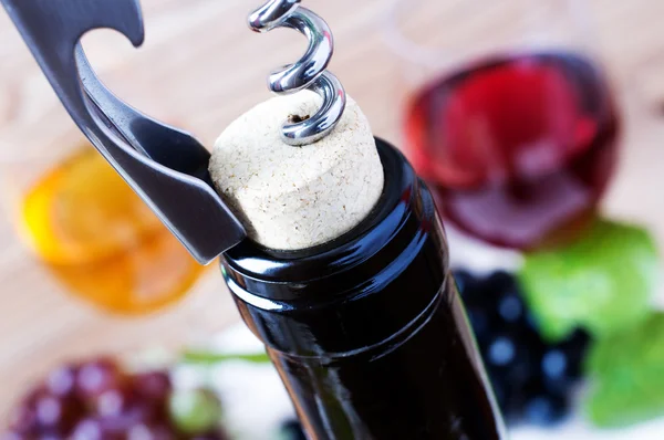 Corkscrew — Stock Photo, Image