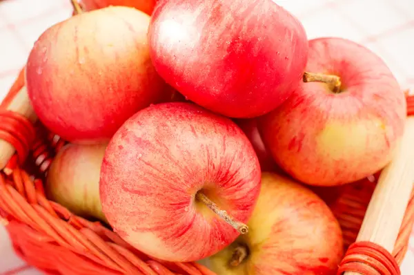 Aziende agricole di mele — Foto Stock