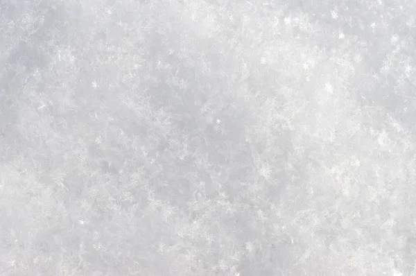 Real snow for the background — Stock Photo, Image