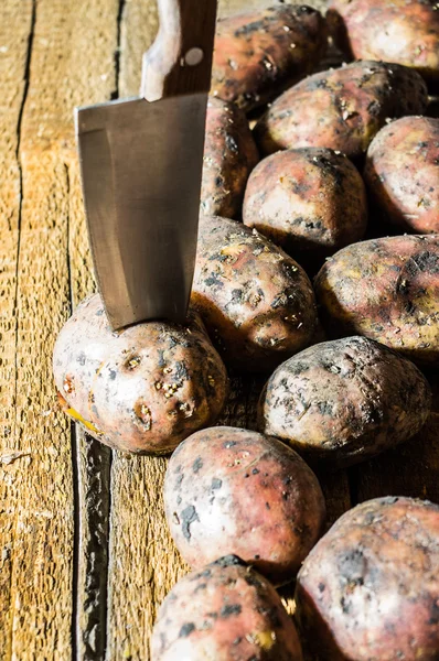Skutečné čerstvé brambory — Stock fotografie