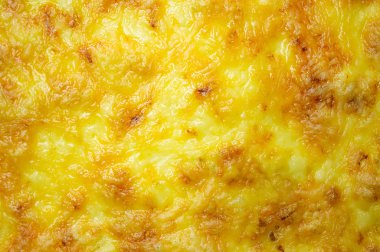 Peynir kabuk arka planı için