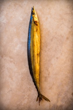 Pasifik saury
