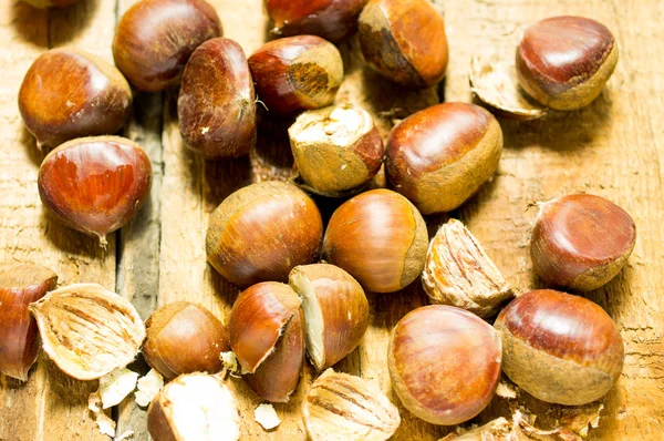 Chestnut — Stock Photo, Image