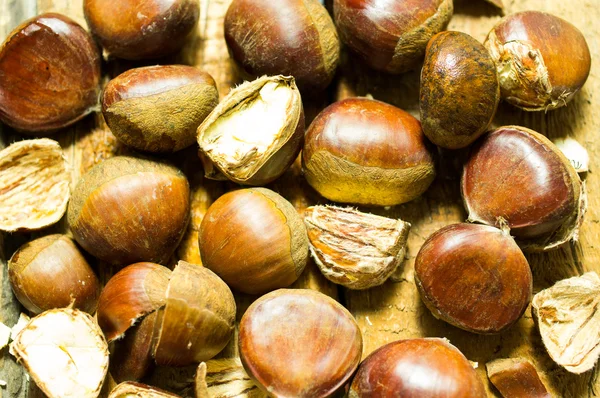 Chestnut — Stock Photo, Image