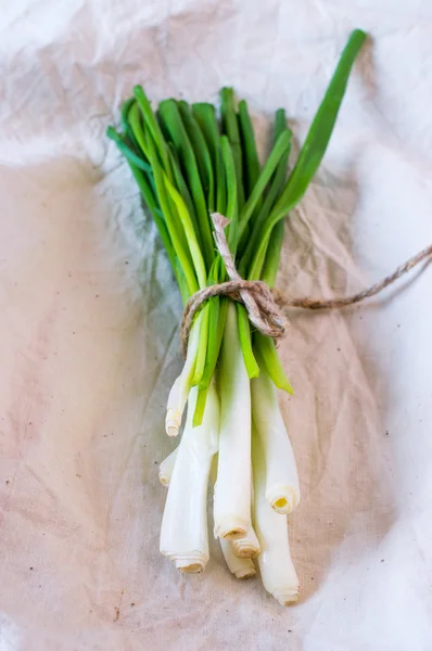 Chives — Stock Photo, Image