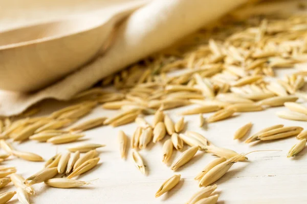 Rolled oats — Stock Photo, Image