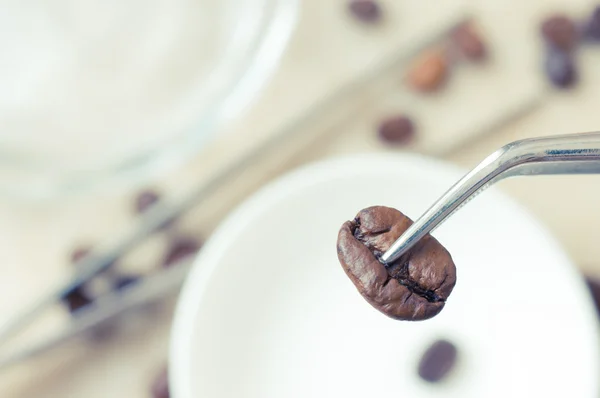 Scrutiny coffee bean — Stock Photo, Image
