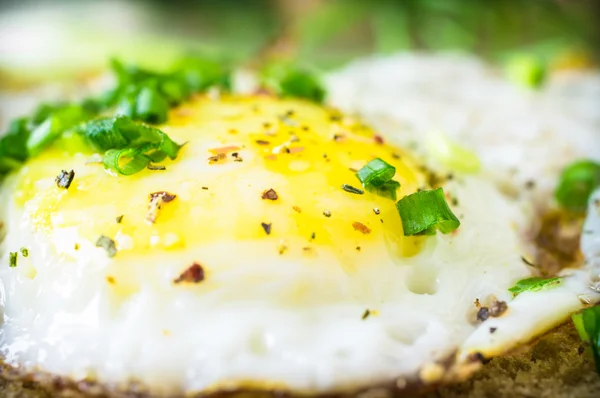 Sandwich met gebakken ei — Stockfoto