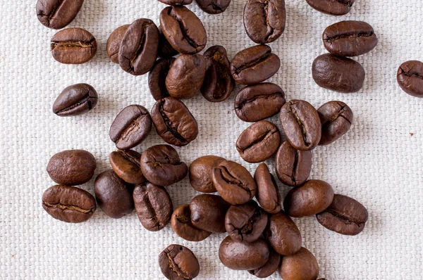 Coffee beans — Stock Photo, Image