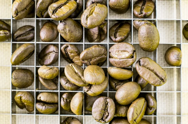 Coffee beans — Stock Photo, Image