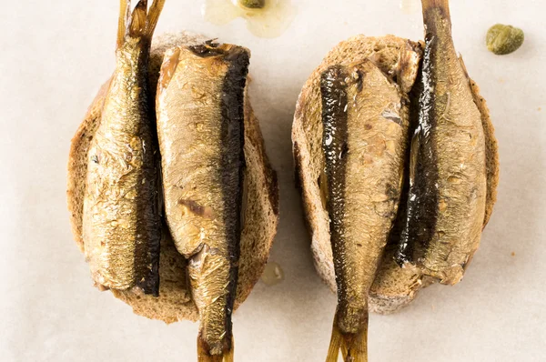 Panino con sardine — Foto Stock