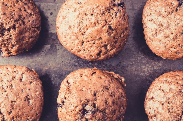 Muffins au chocolat — Photo