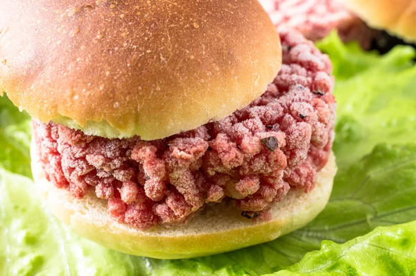 Frozen hamburger — Stock Photo, Image