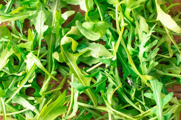 Arugula salad — Stock Photo, Image