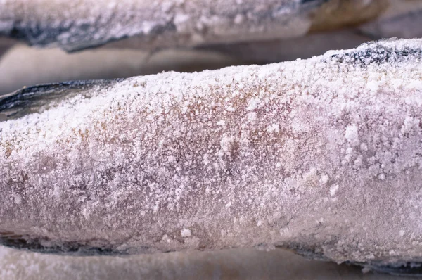Морепродукти морожені крупним планом — стокове фото