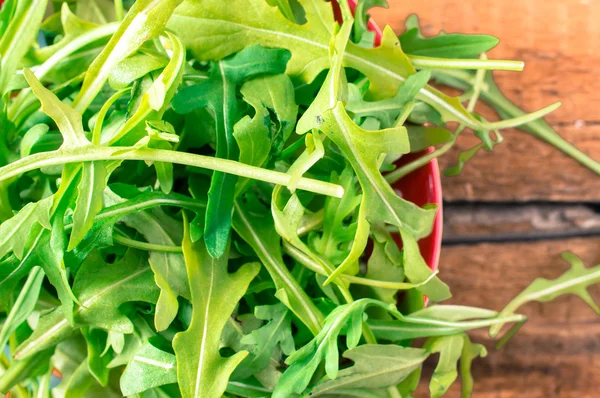 Salada Arugula — Fotografia de Stock