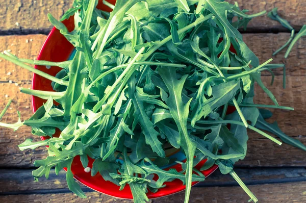 Salada Arugula — Fotografia de Stock