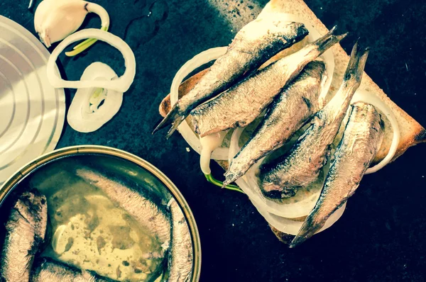 Toast med sardiner — Stockfoto