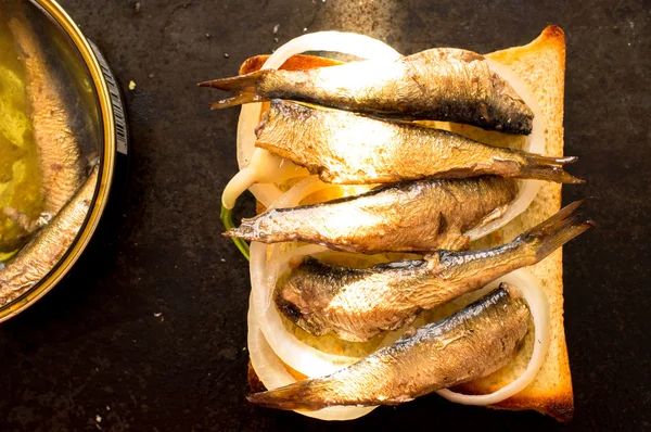 Bröd med sardiner — Stockfoto