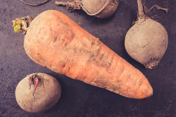 Almacenamiento cosecha zanahorias y remolachas —  Fotos de Stock