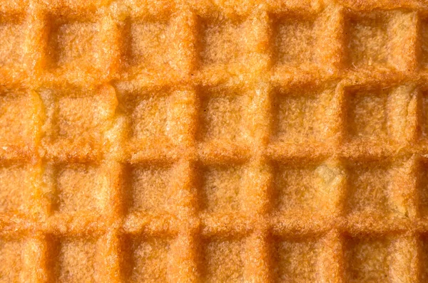 Células grandes para fundo wafer — Fotografia de Stock