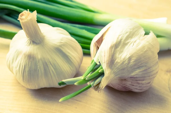 Heads of garlic on a background of green onions — Stock Photo, Image