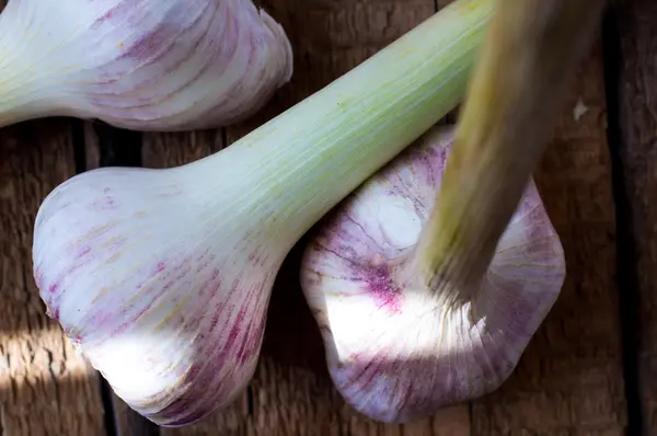 Three garlic bulbs rustic style — Stock Photo, Image