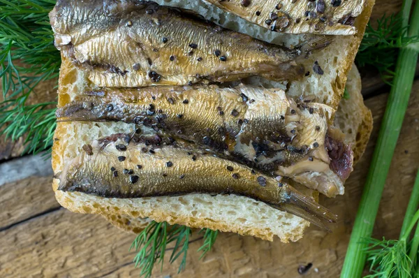 Sandwich with sardines for the background — Stock Photo, Image