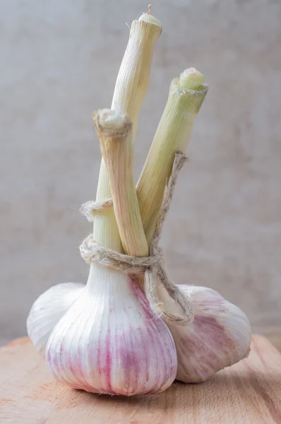 Rustic storage of garlic — Stock Photo, Image