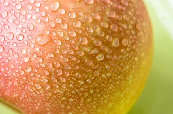 Čerstvé jablko s kapkami Rosy — Stock fotografie