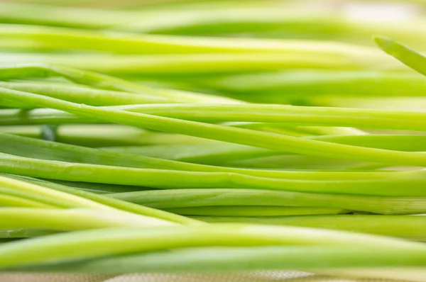 Bunt av grön lök för bakgrund — Stockfoto