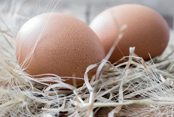 Dos huevos de pollo —  Fotos de Stock