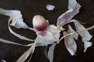 Dilim taze olgun sarımsak