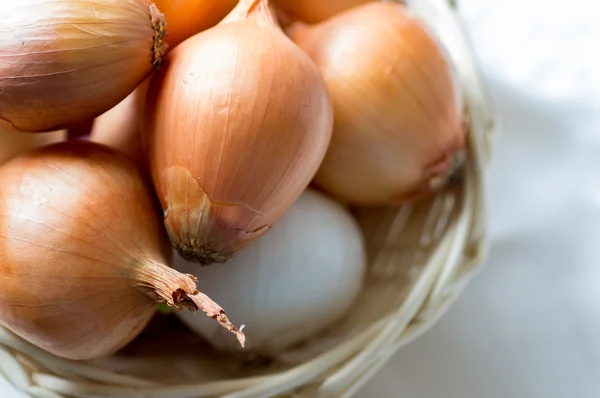 Onion bulbs — Stock Photo, Image